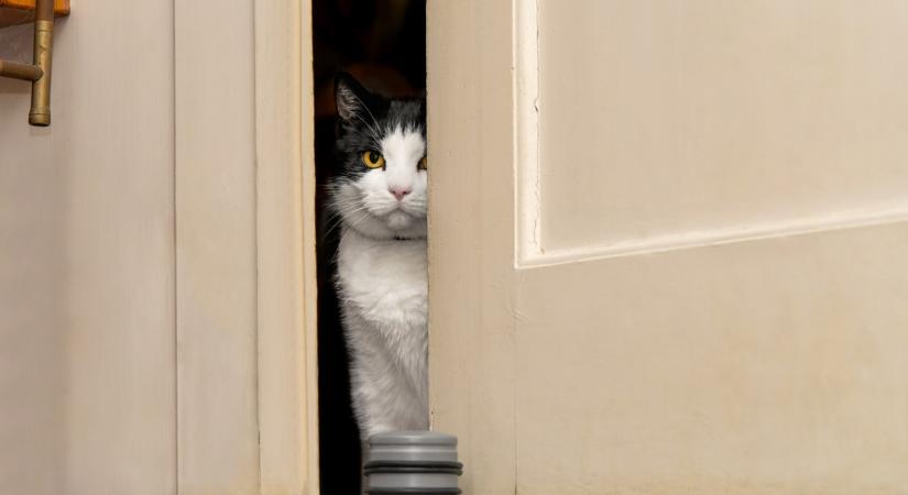 Így tudjuk kifehéríteni a megsárgult ajtókat