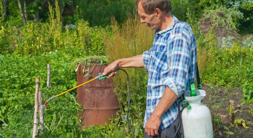 Így vehetjük fel a harcot a pofátlan kerti kártevőkkel – akár vegyszerek nélkül is