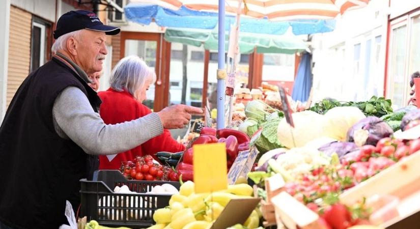 Egészségbomba vagy csak divat? Ez a zöld növény hódít Szolnokon