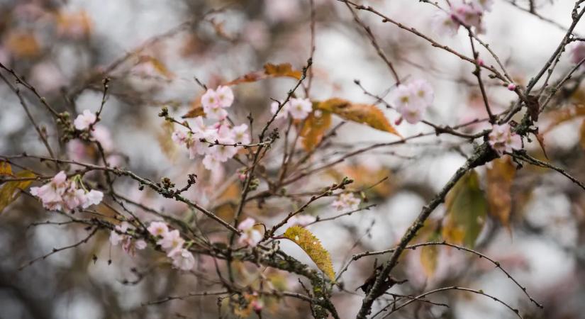 Fordulatot vesz az időjárás, erre kell felkészülni