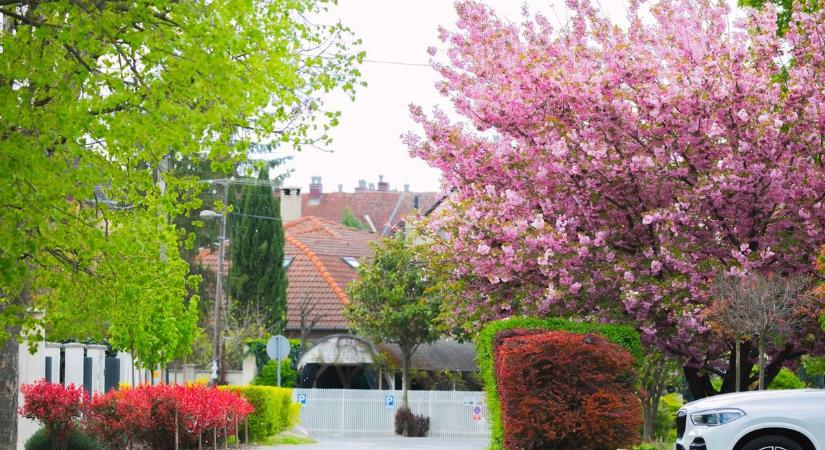 Napsütést hoz az időjárás szombaton