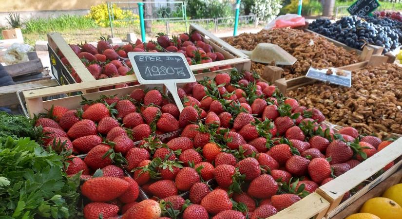 A rákot is megelőzheti az eper: a piac sztárja nem csak finom, az egészséget is segíti