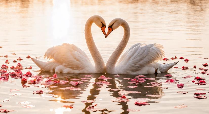 Heti szerelmi horoszkóp 2026. április 25-május 1: az Uránusz alaposan megbolygatja a szálakat…