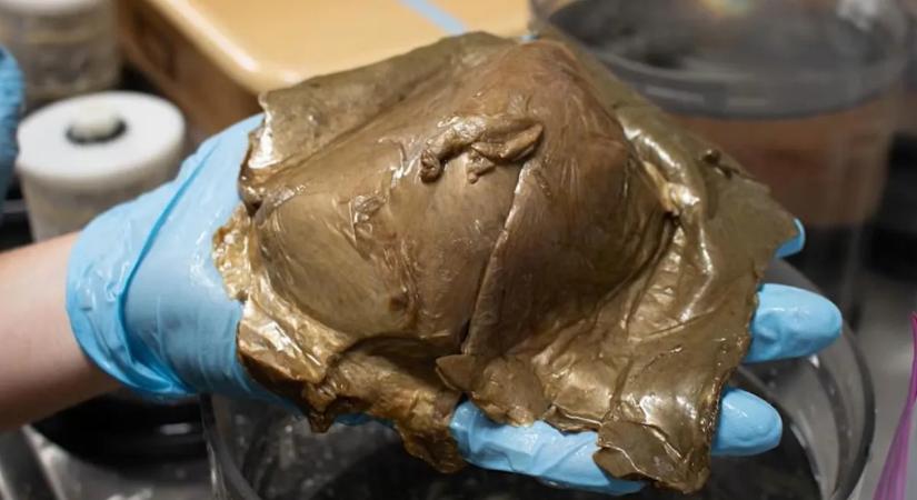 Furcsa tárgyat találtak az óceán mélyén, megdöbbentő, mi derült ki róla – videó