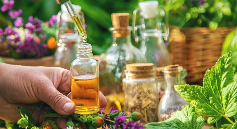 Spórolj a patikán: 5 gyógynövény a kertedből, amely felér a drága pirulákhoz