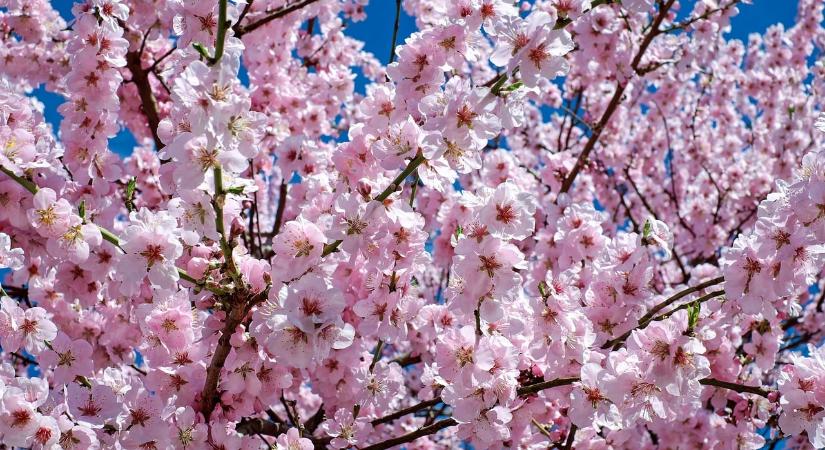 Napsütés jön szombaton, de van egy kis csavar az időjárásban