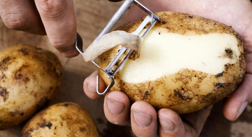 Az emberek elámulnak, amikor megtudják, hogy egész életükben rosszul használták a hámozójukat