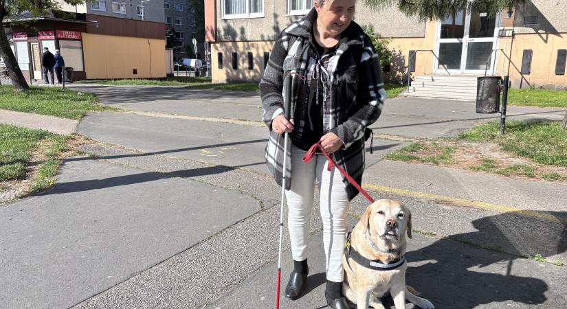 Egy hűséges társ, aki mindig utat talál