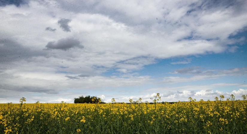 Időjárás: mutatjuk, milyen időre lehet számítani a hétvége első napján
