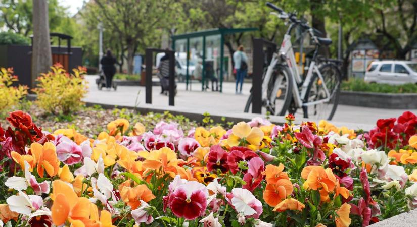 Napsütésben fürdőzhetünk – használja ki a csodás szombati időt!
