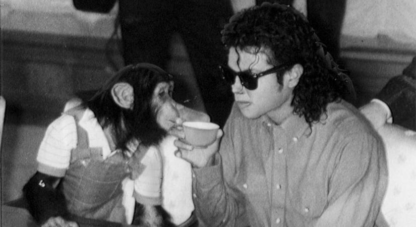 Még mindig életben van Michael Jackson csimpánza, Bubbles