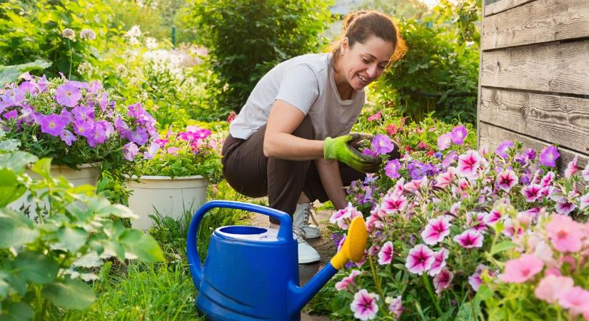 Ez a 3 tavaszi virág szinte magától nő – érdemes áprilisban elültetni, és évekig gyönyörködhetünk bennük