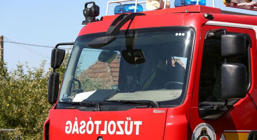 Teherautó égett Balatongyörökön, a tűz az aljnövényzetre is átterjedt