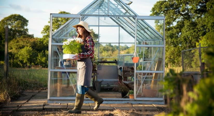 Rendezett vagy burjánzó? Így árulkodik rólad a kerted