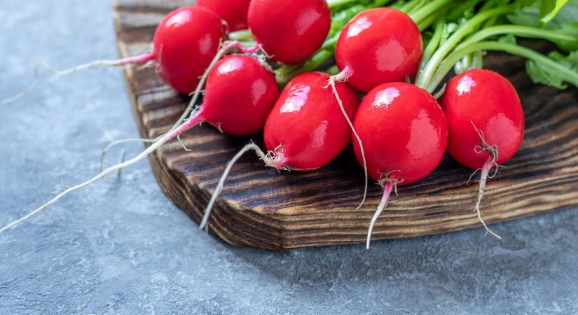Lehetőségek a hónapos retek után: mit vessünk a felszabaduló ágyásba?