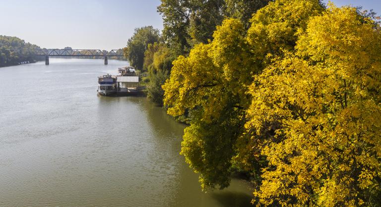 A magyar természetvédőket tömörítő szövetség segítene a Tisza-kormánynak
