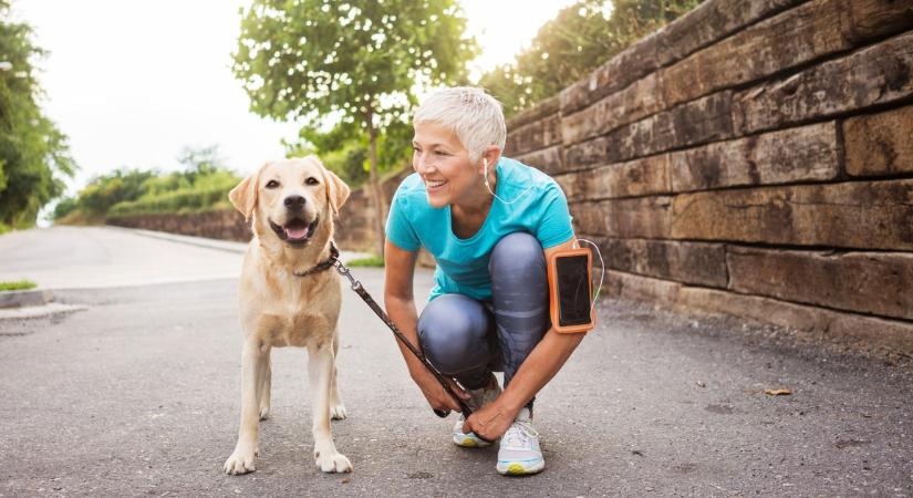 5 tipp, hogy kutyád ízületei hosszú évekig bírják a tempót