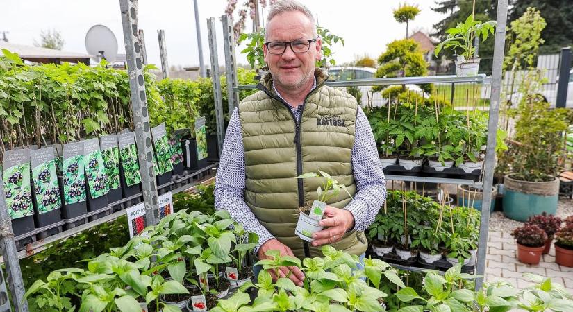 Itt az ideje a kerti munkáknak, áprilisban ültetés, metszés, permetezés vár - videó