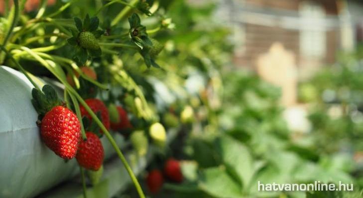 Visszaszámlálás indul 