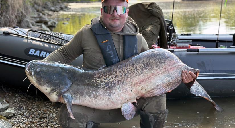 Óriási harcsa a neszmélyi holtágból