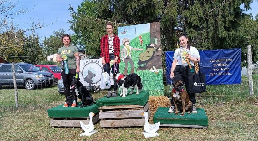 Kutyák, gazdik és remek hangulat – ilyen volt az idei Country Dog Day Faddon