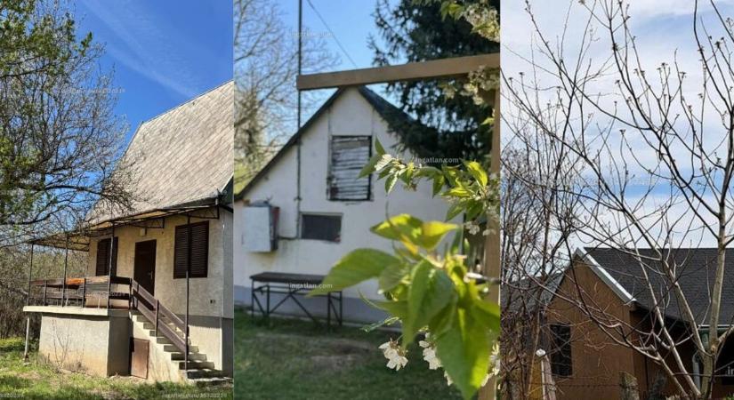 Top 3 olcsó balatoni nyaraló: megfizethető ingatlanok a nyári élményekhez