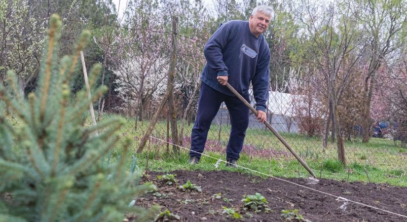 Sokan elkövetik ezt a hibát az ültetésnél: ne hagyjuk magunkat becsapni, ezen múlik a veteményezés sikere