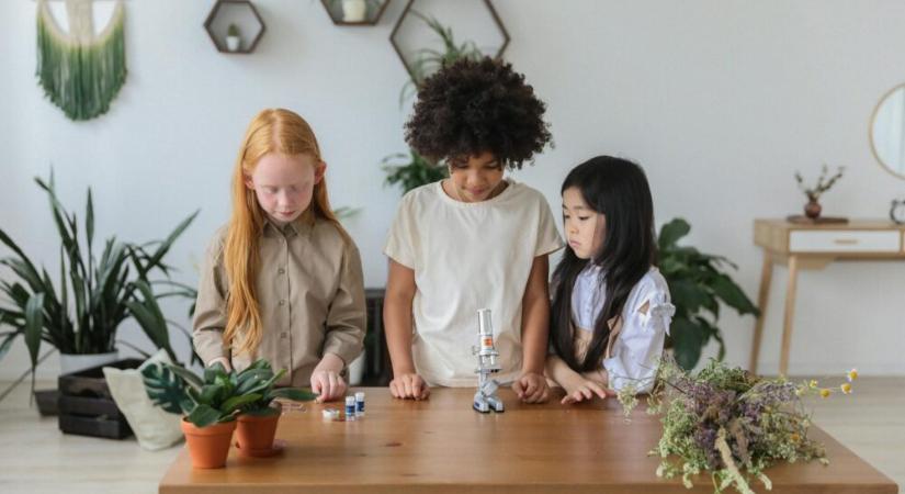 Így látnak a fiatal kutatók a pénzügyi piacok mögé – reflexív AI a tőzsdén