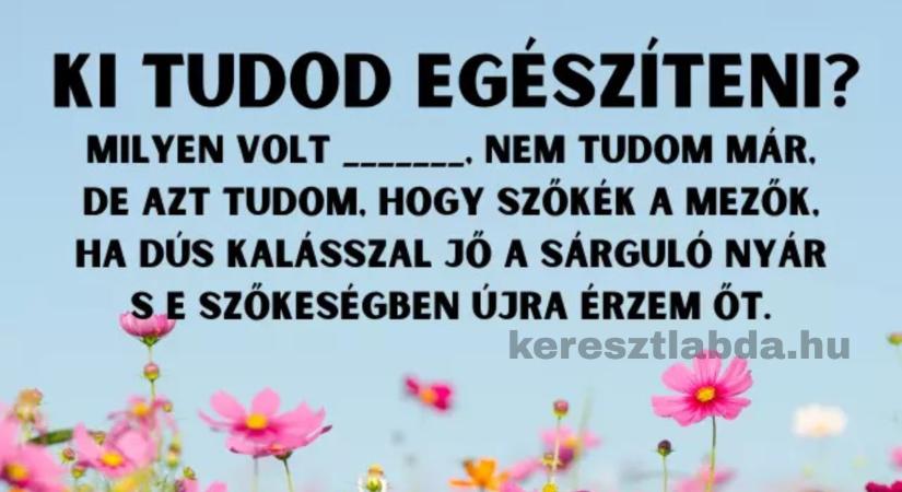 Napi irodalom feladat: „Milyen volt…” – három szó közül csak egy a helyes!