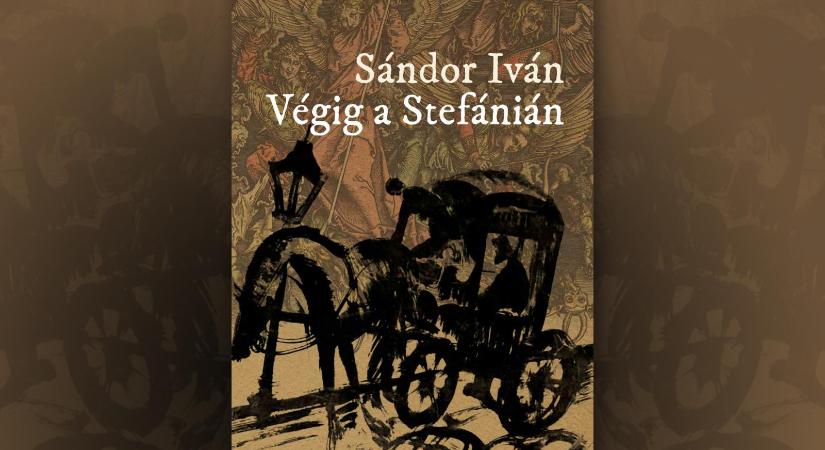 Szókereső (Sándor Iván: Végig a Stefánián)