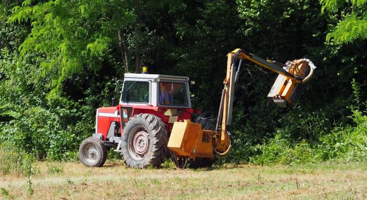 Kaszálás előtt ezt most nem szabad elfelejteni