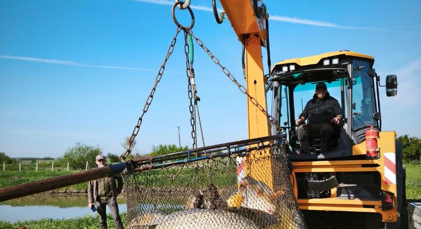 Jó hír a horgászoknak, ismét bővült a halállomány