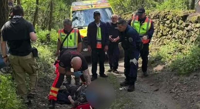 „Ezt nem tudjuk eléggé megköszönni” – megható levelet írt az eltűnt nő családja