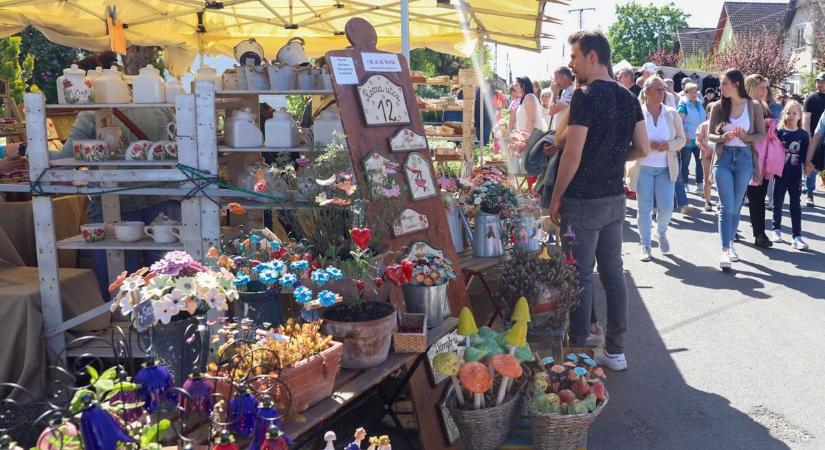 Ébredezik a Herényi Virágút: családok és virágimádók lepték el a városrészt - sok fotó