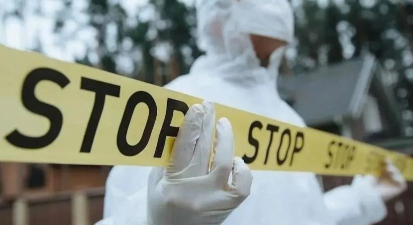 Holttestet találtak Pellérden, egy különös póló segíthet az azonosításban