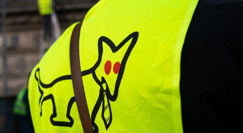 Erre ment el a Kutyapárt sok százmillió forintnyi kampánypénze, amivel aztán nem jutottak sehova