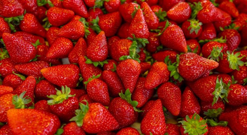 Duplája is lehet a magyar eper ára a görögnek - mennyi az annyi a szezon elején?