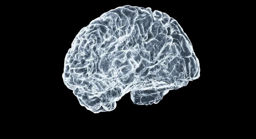 Nem a remegés az első jel? Új dolgot derítettek ki a Parkinson-kórról