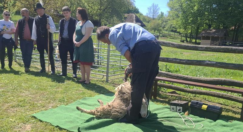 Pásztorélet testközelből
