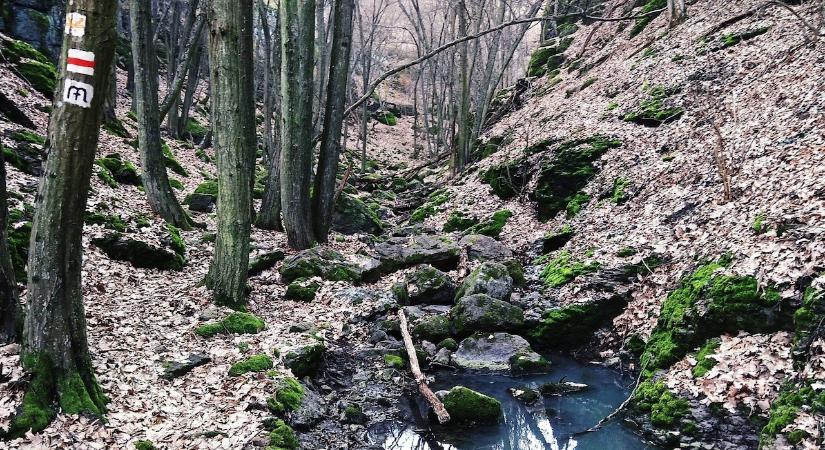 Kő-völgyi tanösvény a Bükkben