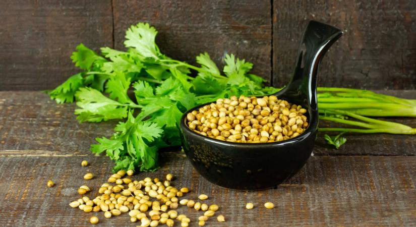 A koriander 7 meglepő hatása az egészségre