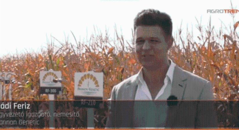 Lemondott a szegedi Fidesz elnöke, miután kiderült, hogy körözik