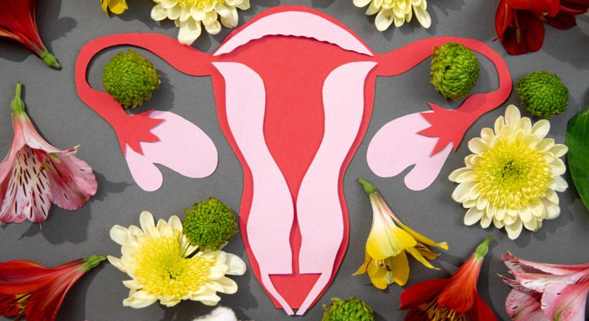 Nem vagy egyedül a fájdalmadban