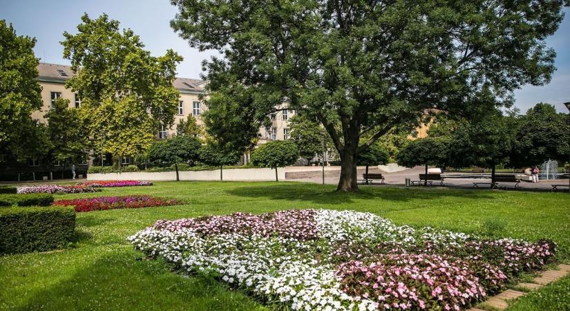 Elindult a kertszépségek nagy megmérettetése – itt bárki nyerhet