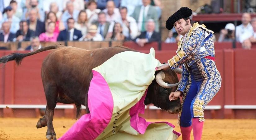 Fenékbe szarvazta a bika a közkedvelt matadort (videó)