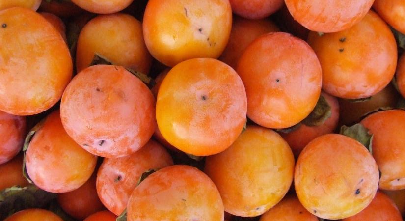 Datolyaszilva, pisztácia, pekándió és füge a hazai kertben?