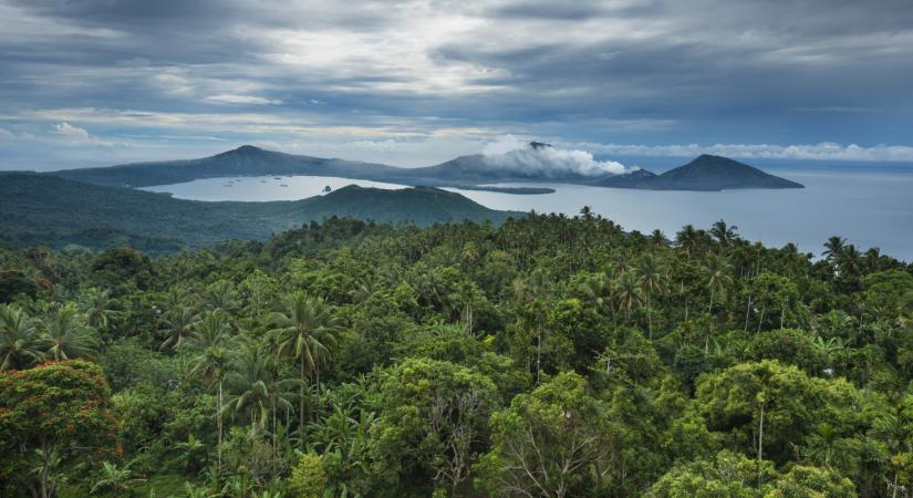Átbillent karbonegyensúly: a trópusi erdők már több szenet bocsátanak ki, mint amennyit megkötnek
