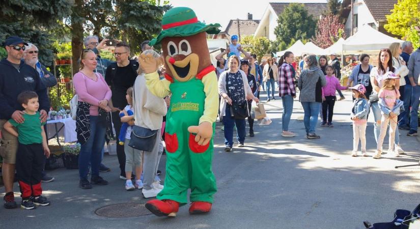 Aki növényt akar, most Herénybe megy: beindult a Virágút - fotók