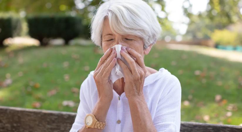 Ne hidd, hogy megúsztad: az allergia akár 50 felett is beüthet