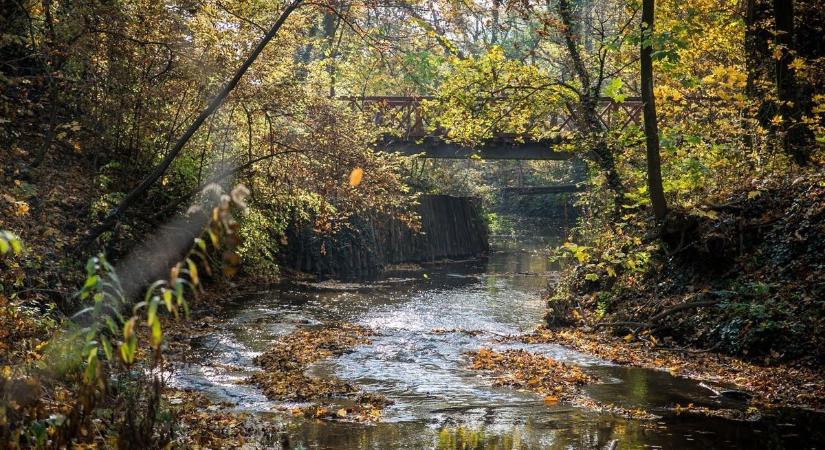 10  1 csodás fotóhelyszín Fejér vármegyében (galéria)